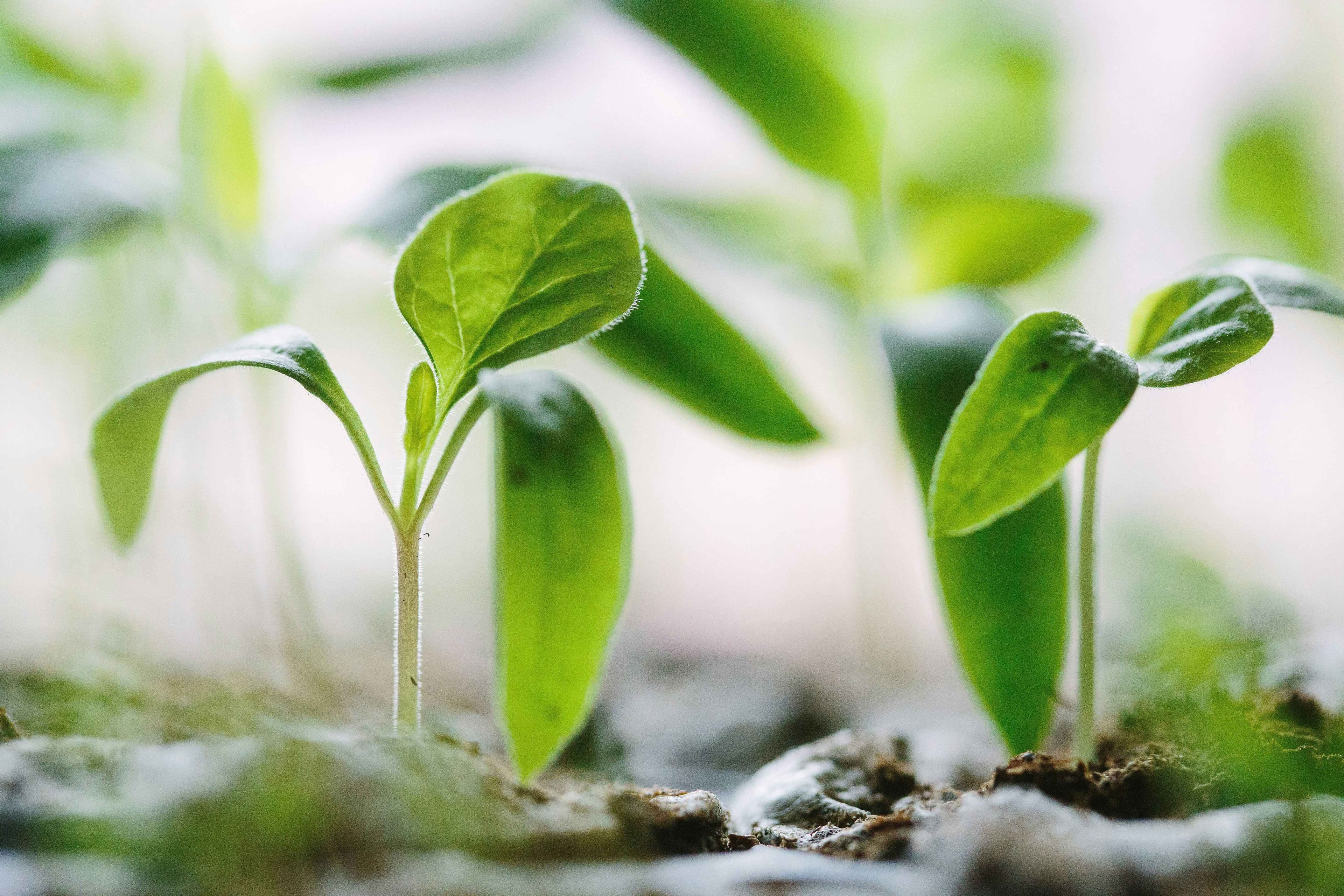 Sustainability Integration